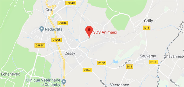 SOS Animaux Pays de Gex, refuge, pension, fourrière