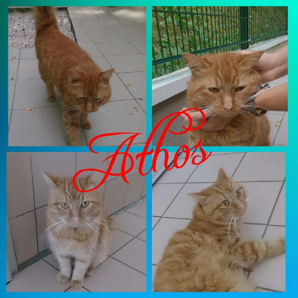 Athos