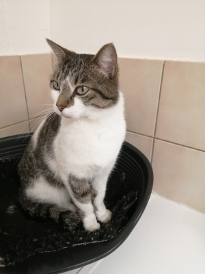 Hugo ( Réservé )