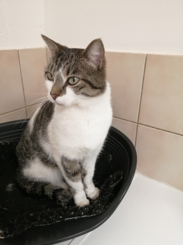 Hugo ( Réservé )