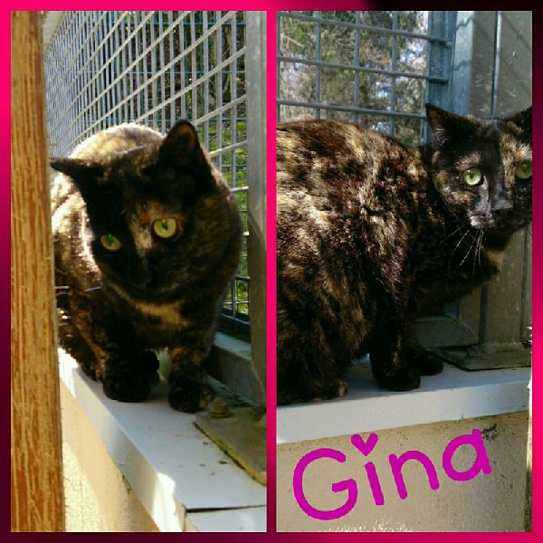 Gina