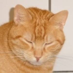 caramel