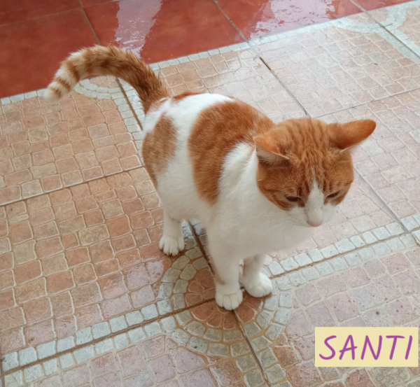 Santi (réservé)