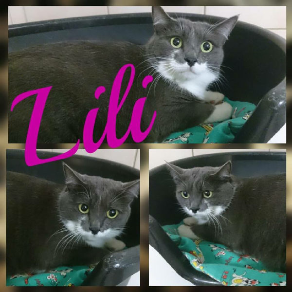 Lili