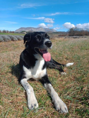 Lorca