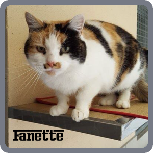 Fanette