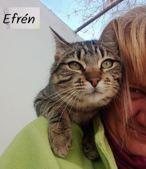 Efrén