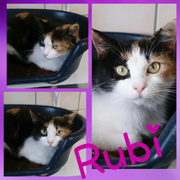 Rubi