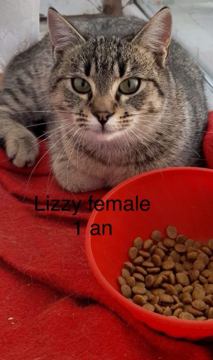 Lizzy R