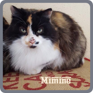 Mimine