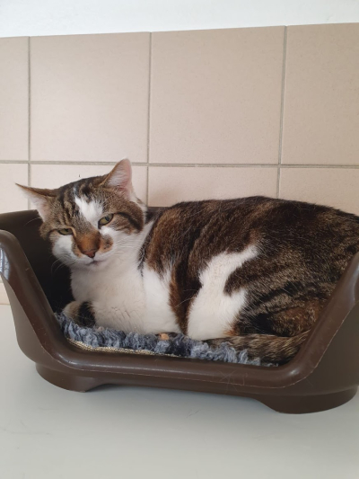Olympe