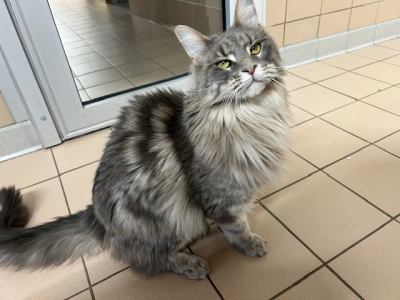 Vanille (r&eacute;serv&eacute;e)