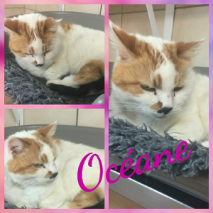 Océane