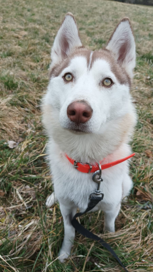 Kira