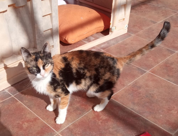 P&eacute;n&eacute;lope