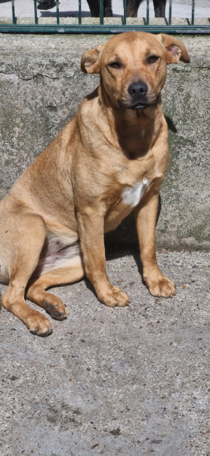 Vick ( Réservée )